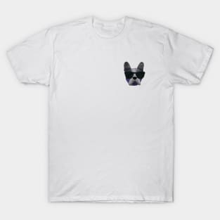 Cool Dog T-Shirt